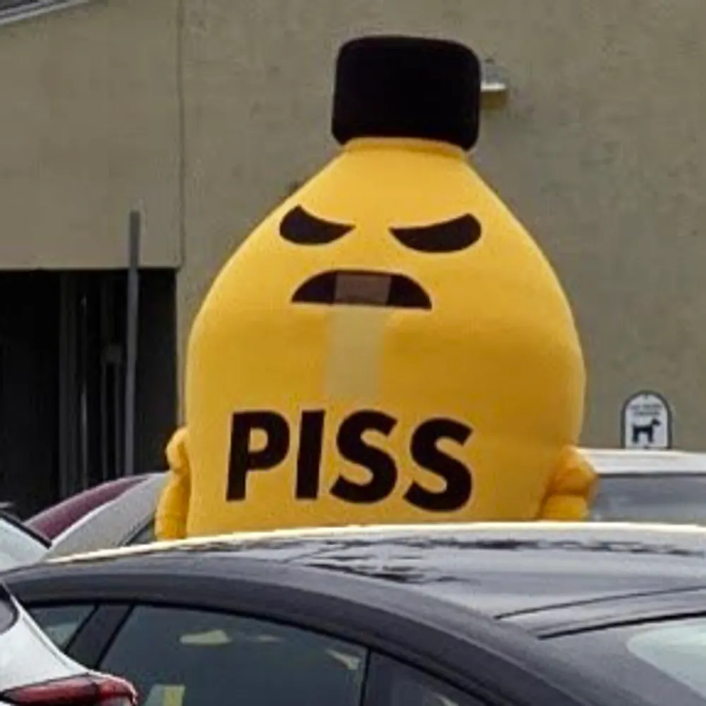 pisswizard.bsky.social's profile picture