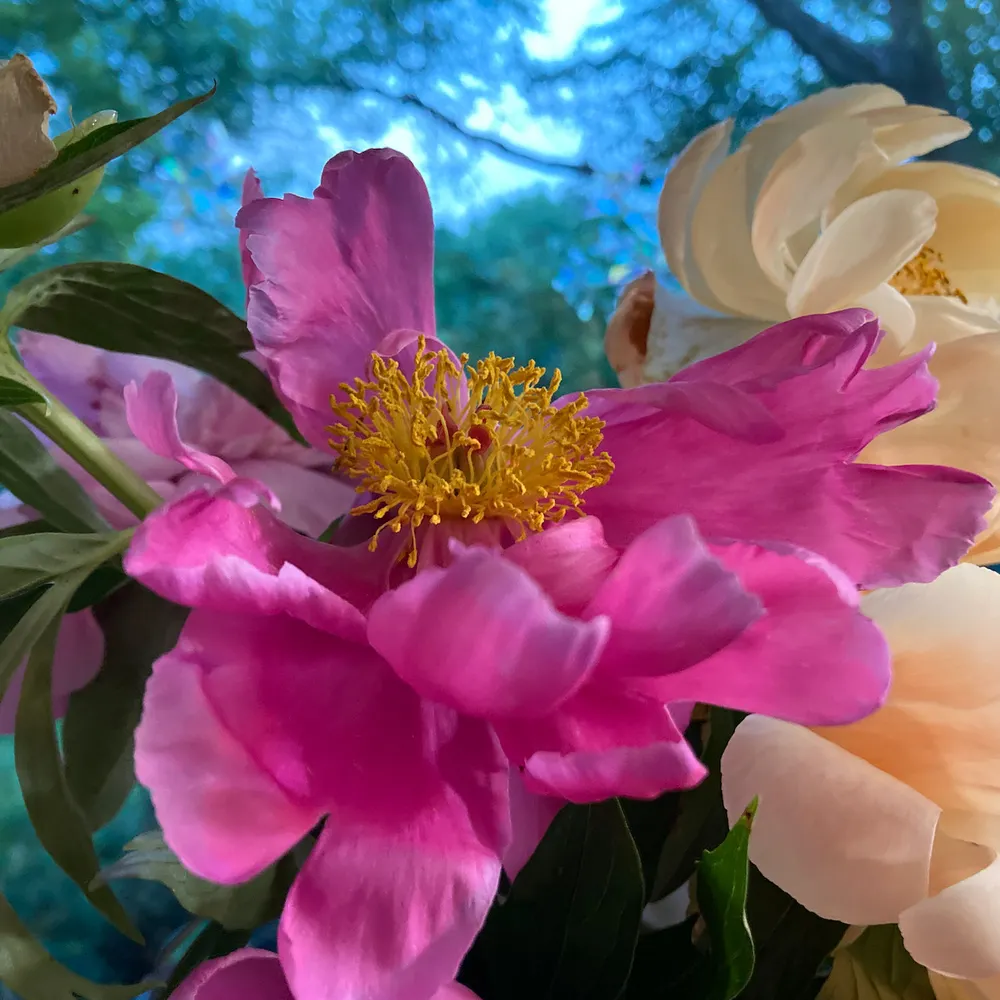 kendryck.bsky.social's profile picture