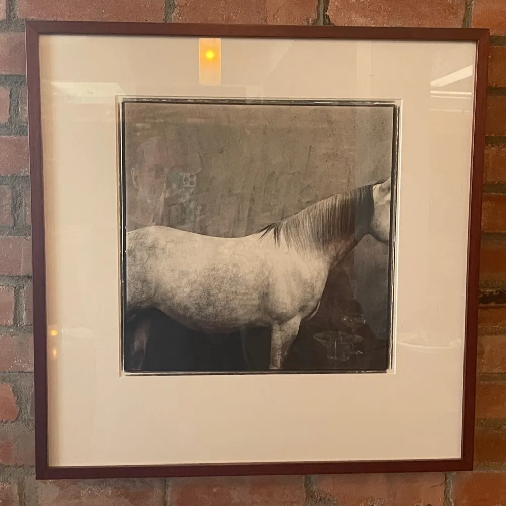 dexter5235.bsky.social's profile picture