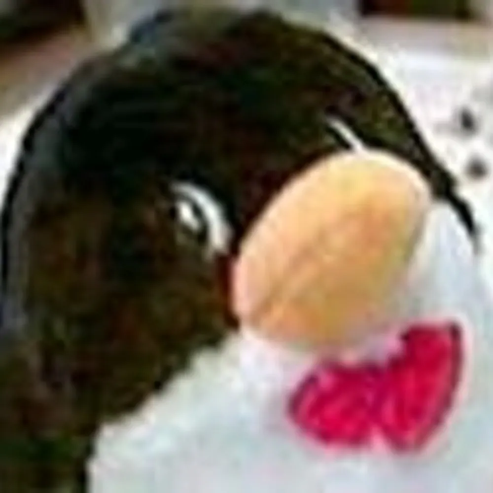 nopipbutcpip.bsky.social's profile picture