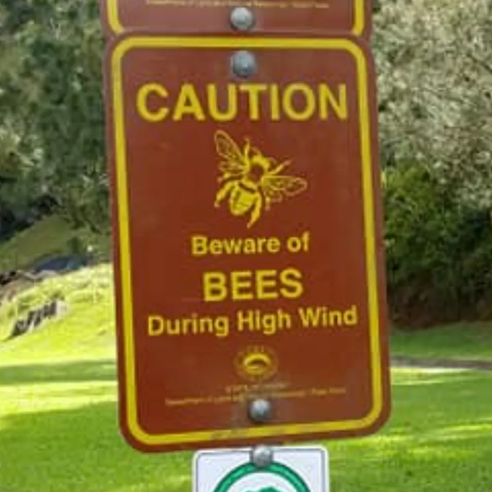 edibledragon.bsky.social's profile picture