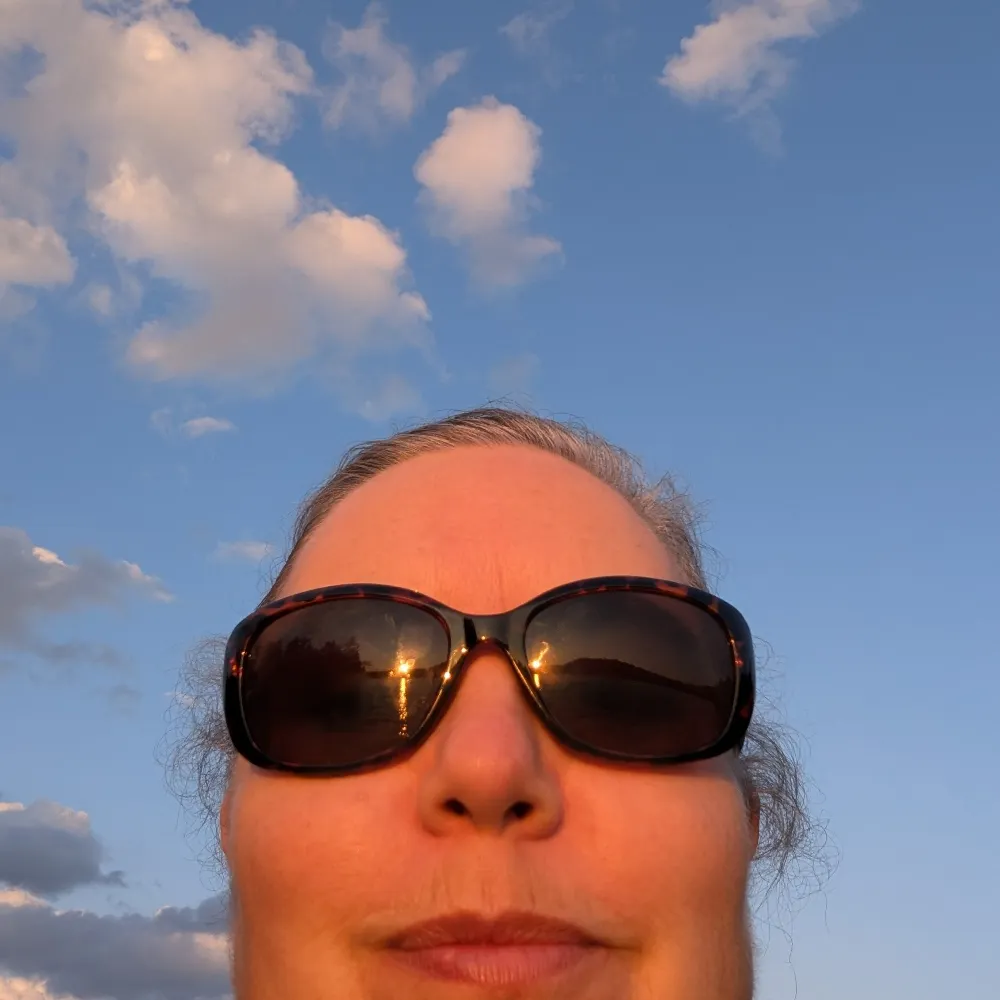 agapostemom.bsky.social's profile picture