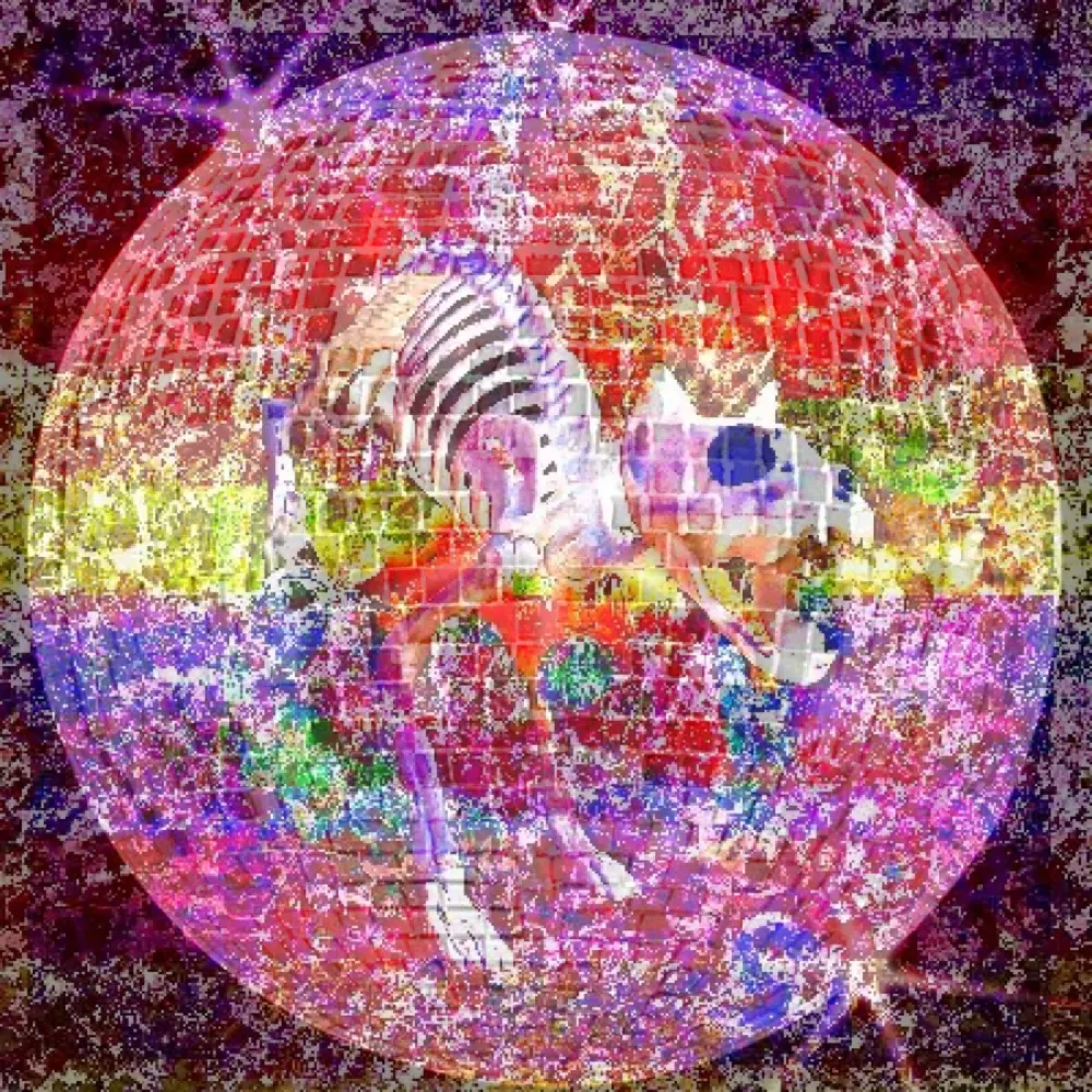 discoforever.bsky.social's profile picture