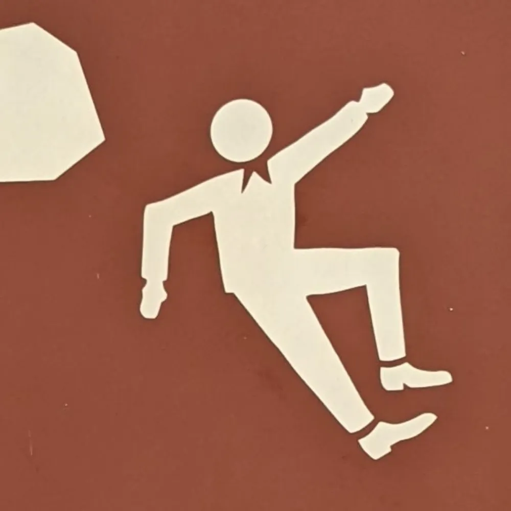 baertini.bsky.social's profile picture