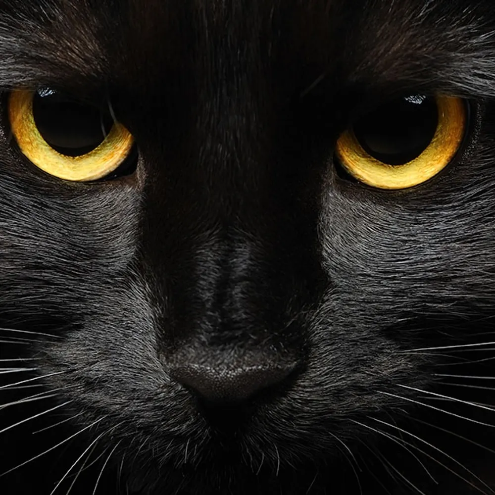 roberta-roberta.bsky.social's profile picture