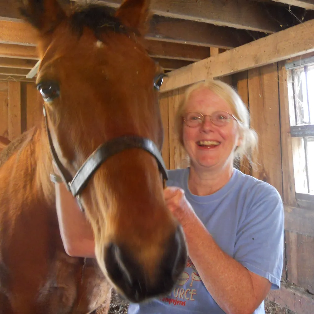 annekfanelli.bsky.social's profile picture