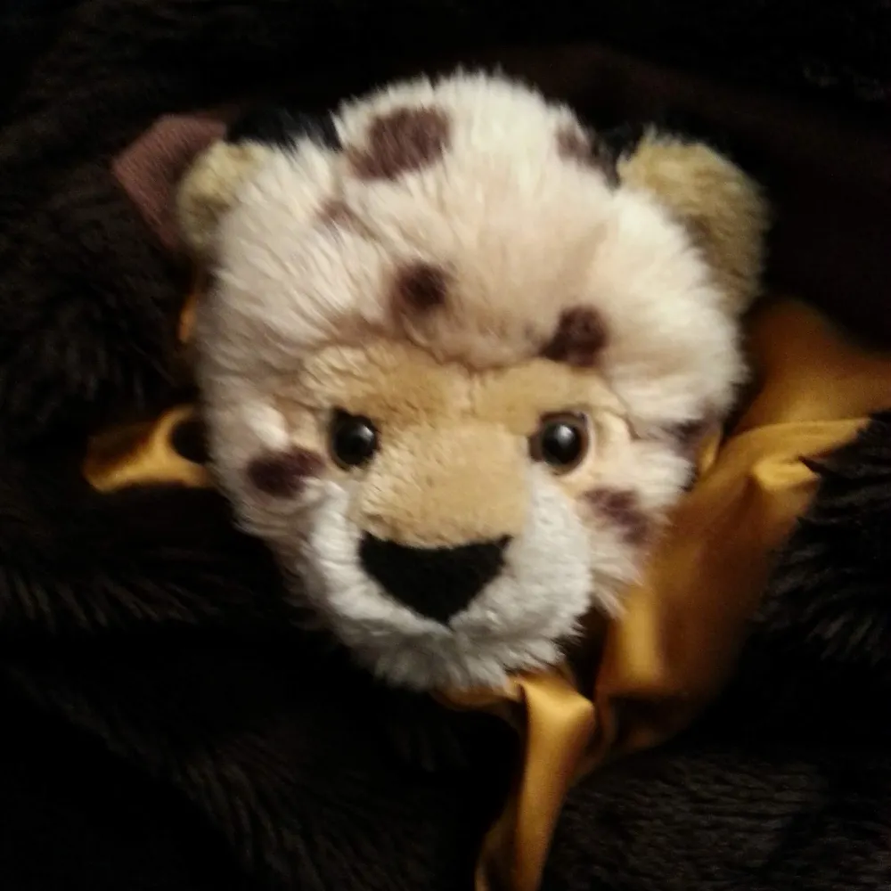 sarahmortonadam.bsky.social's profile picture