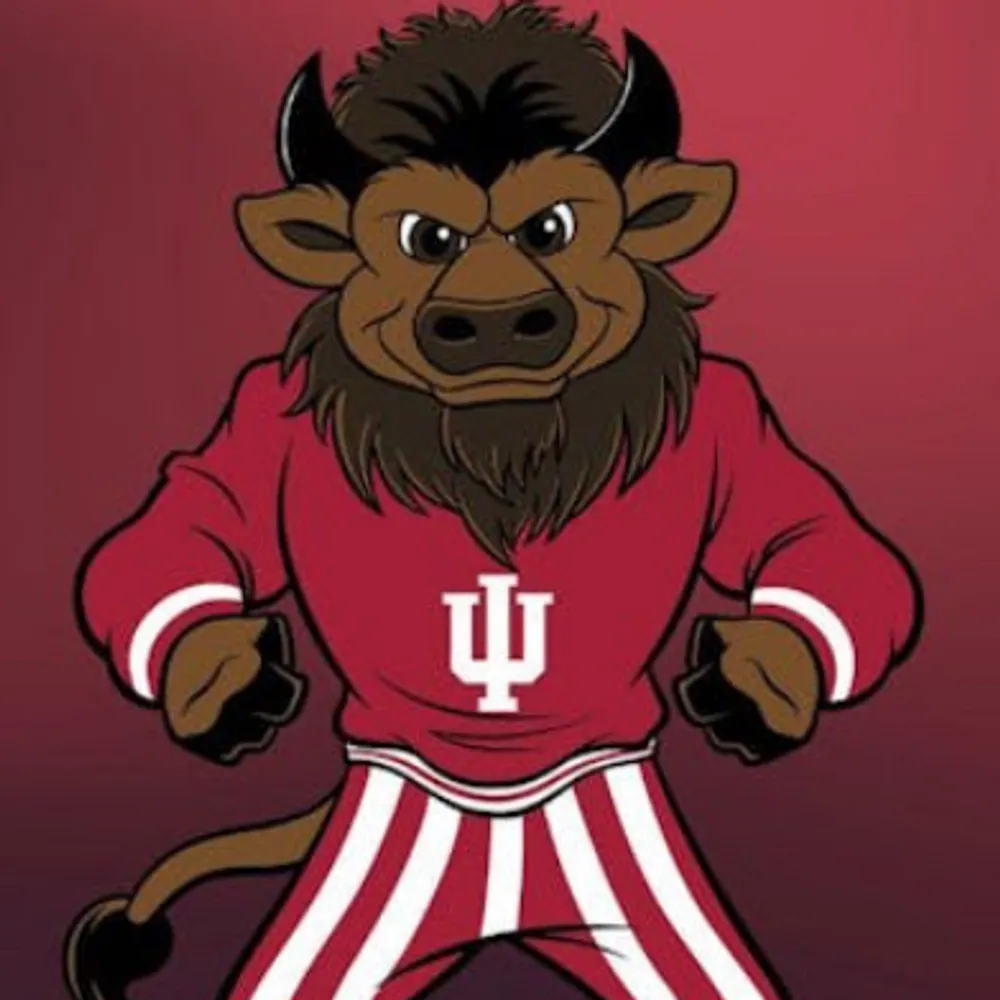 hoosierdad.bsky.social's profile picture