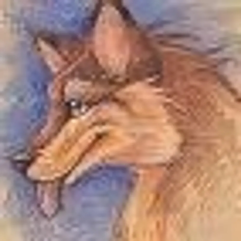 coyoteden.bsky.social's profile picture