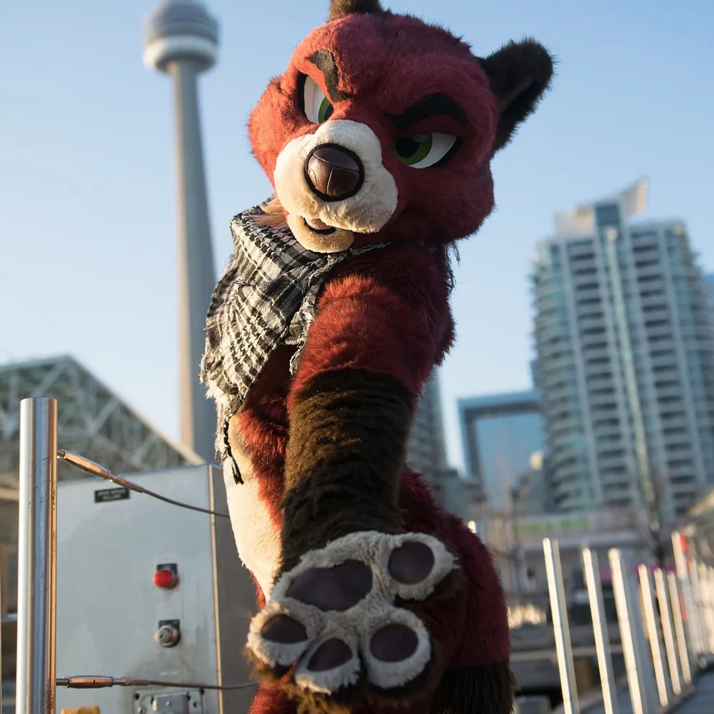 mangusu.bsky.social's profile picture