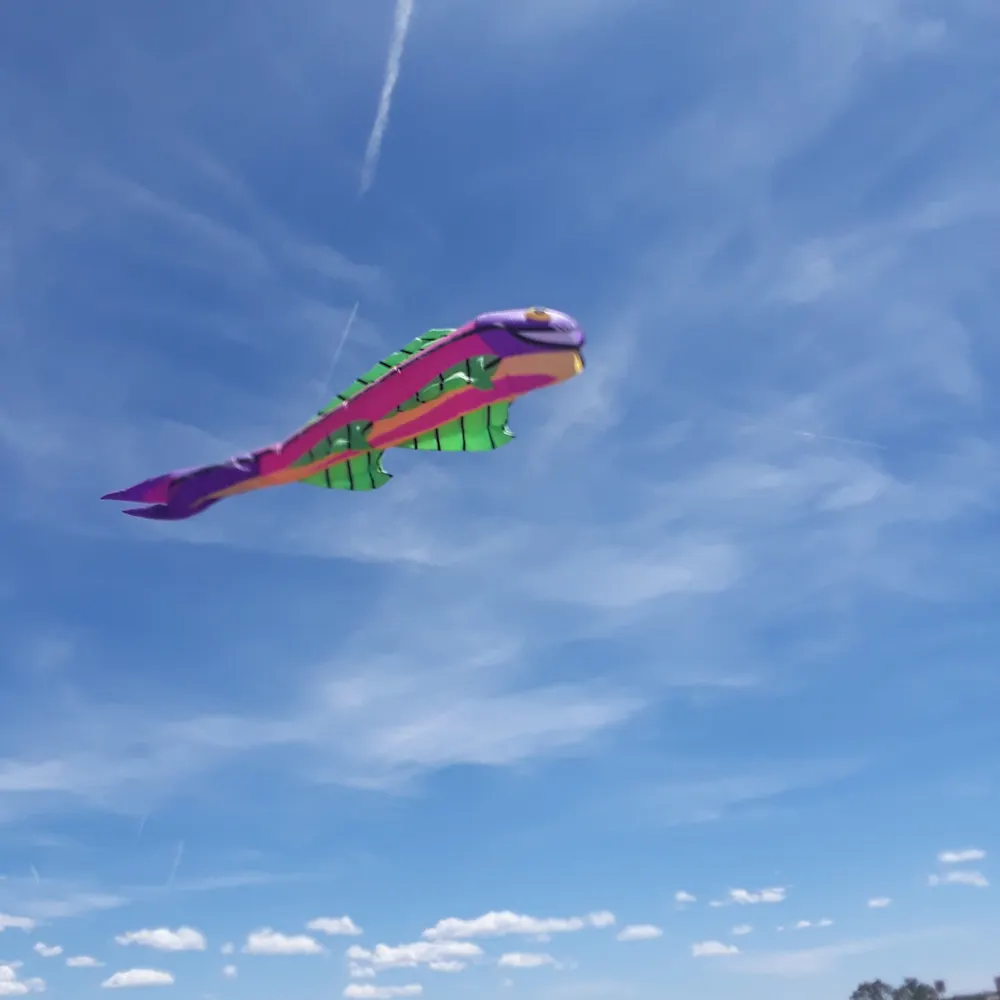 celtic-cat.bsky.social's profile picture