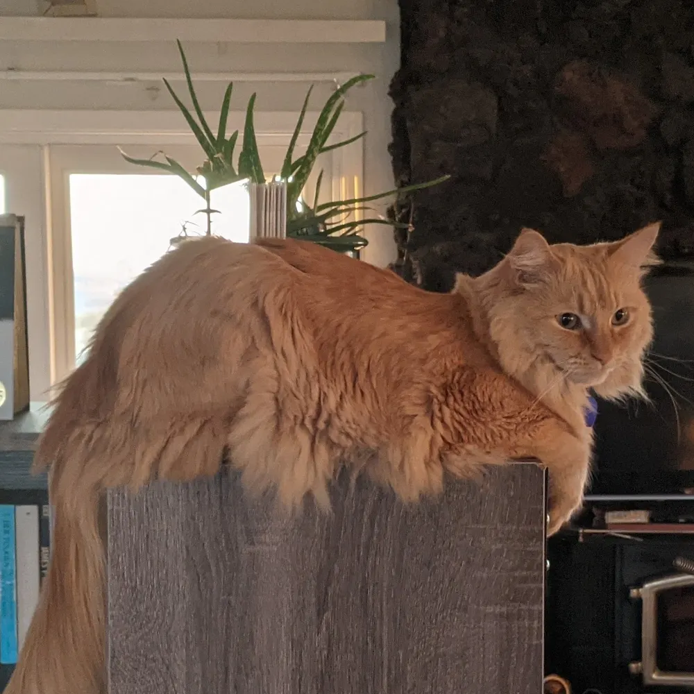 kirtsiders.bsky.social's profile picture