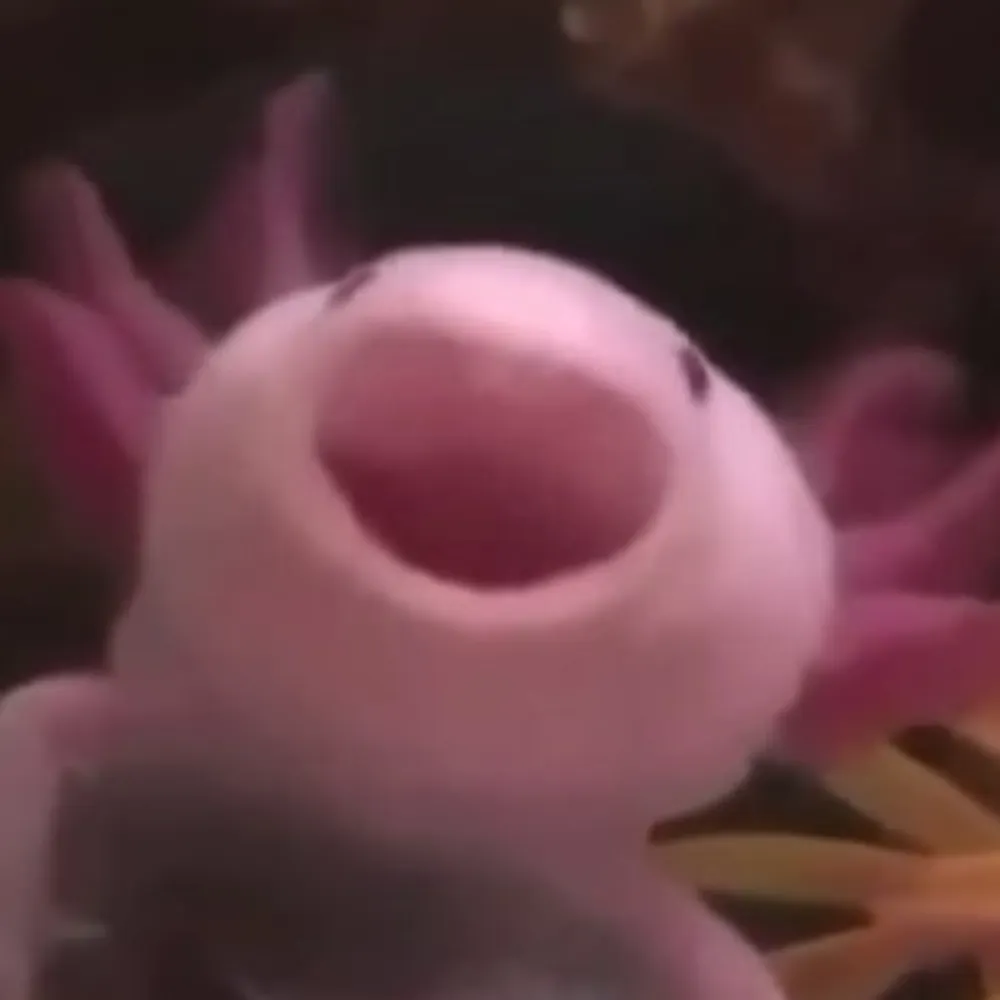 geb1999.bsky.social's profile picture