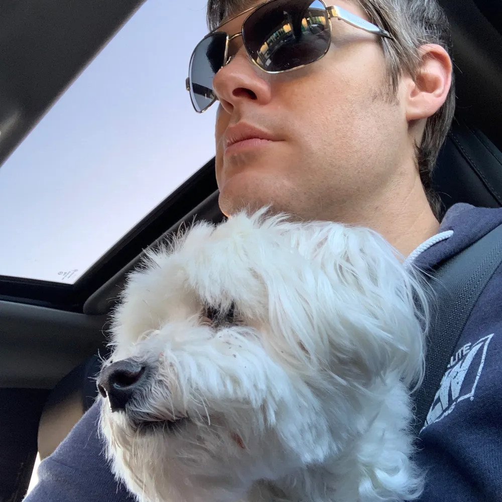 badbebop.bsky.social's profile picture