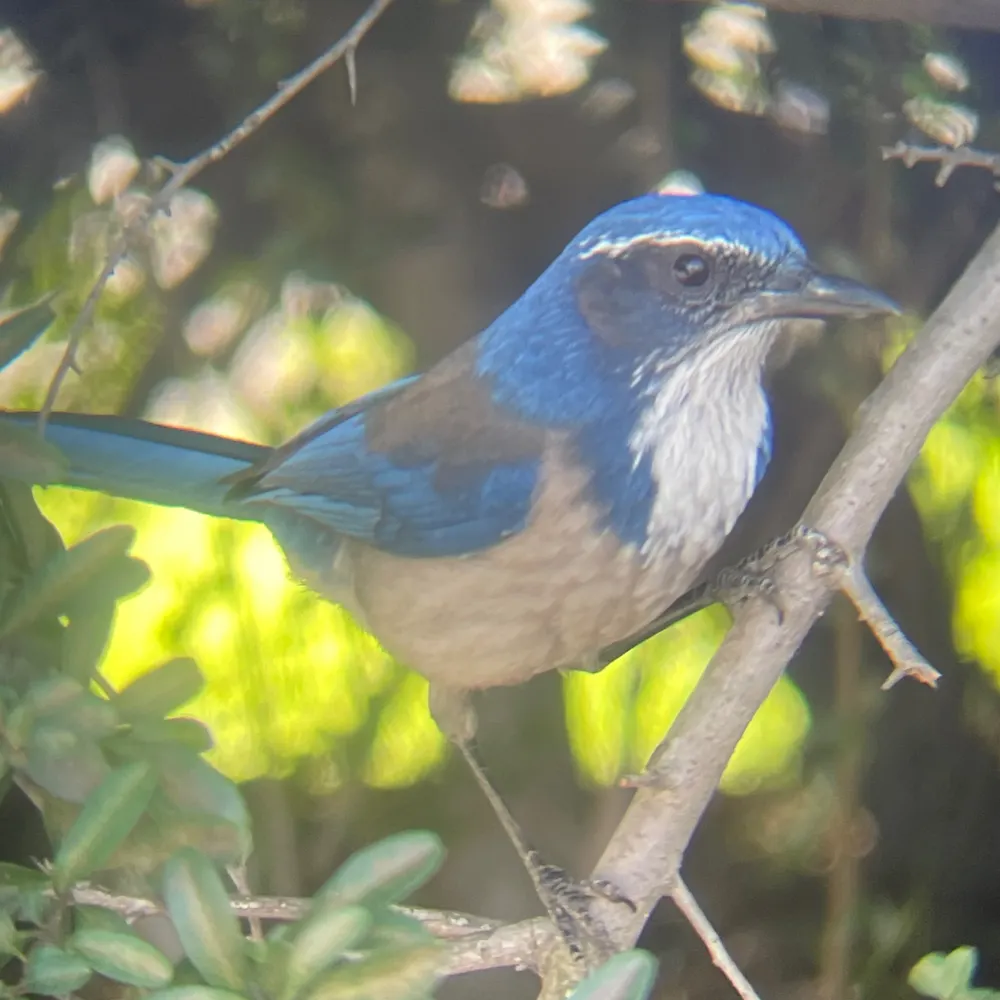 stucko.bsky.social's profile picture