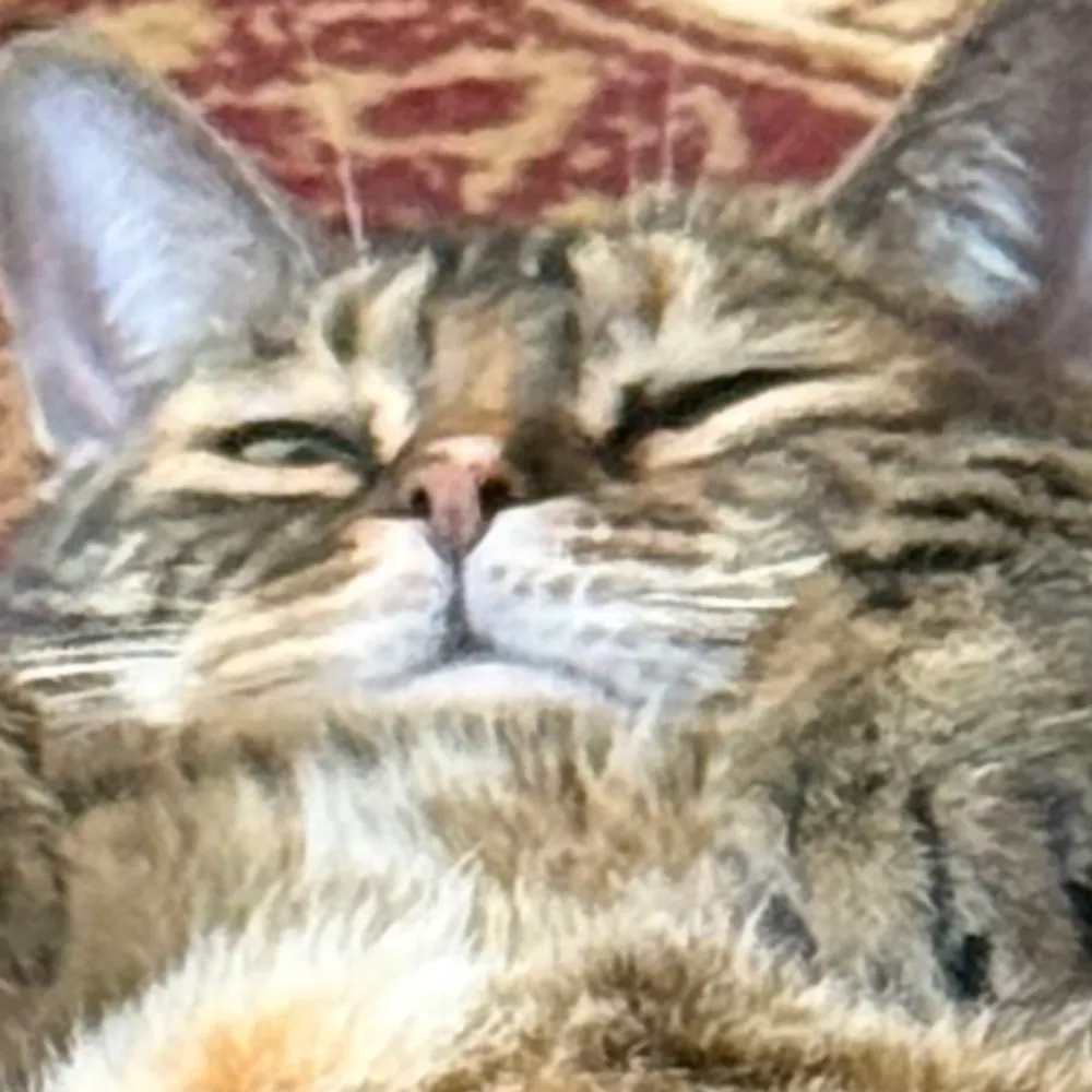 akton001.bsky.social's profile picture