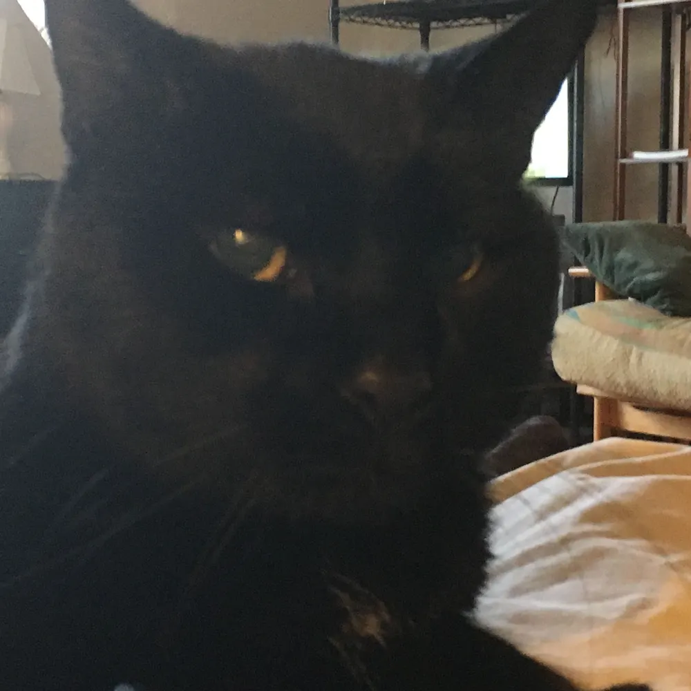 markrap.bsky.social's profile picture