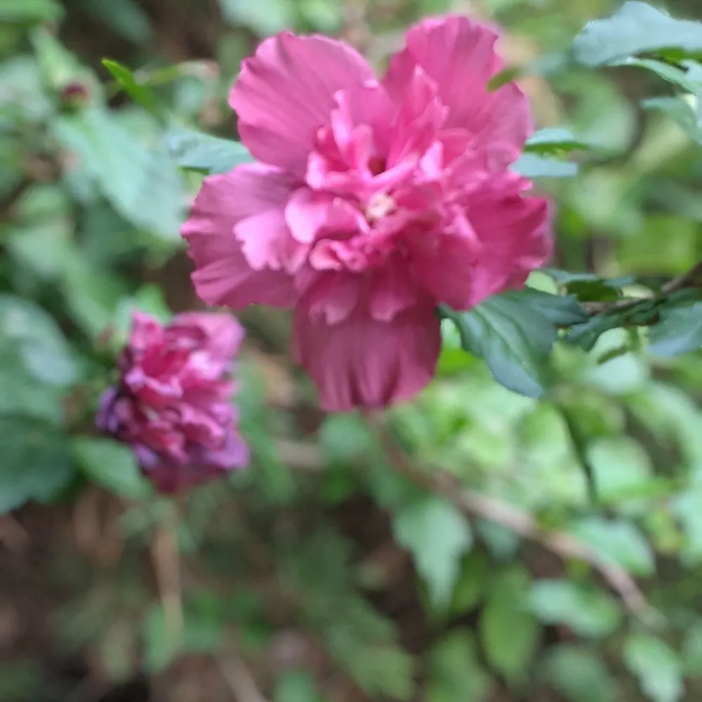 starjet.bsky.social's profile picture