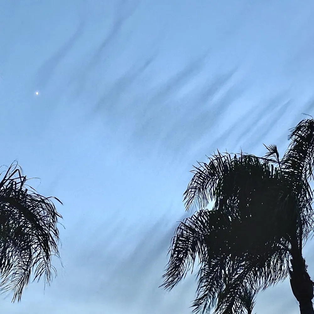 gontry.bsky.social's profile picture