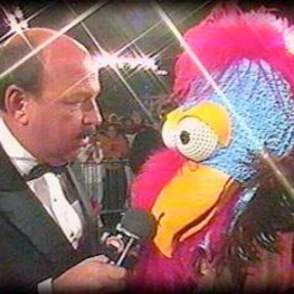 smallupsetter.bsky.social's profile picture