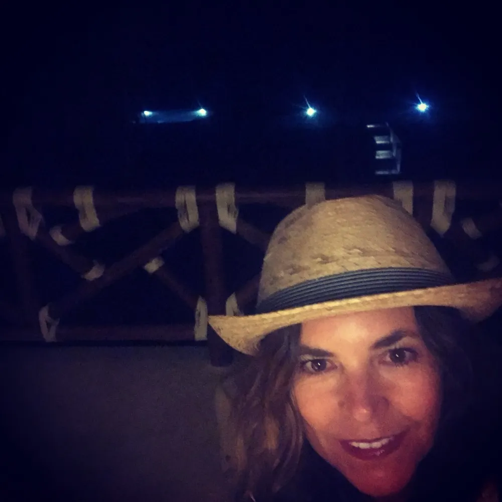 katsat2.bsky.social's profile picture