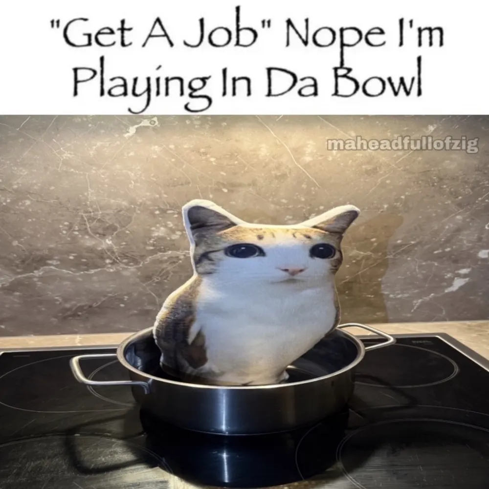 stelsle.bsky.social's profile picture