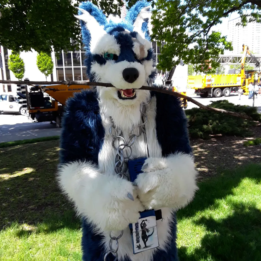 wolfconsin.bsky.social's profile picture