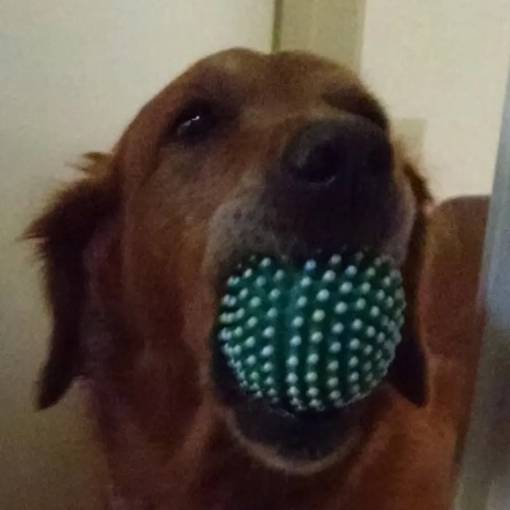 auferre.bsky.social's profile picture