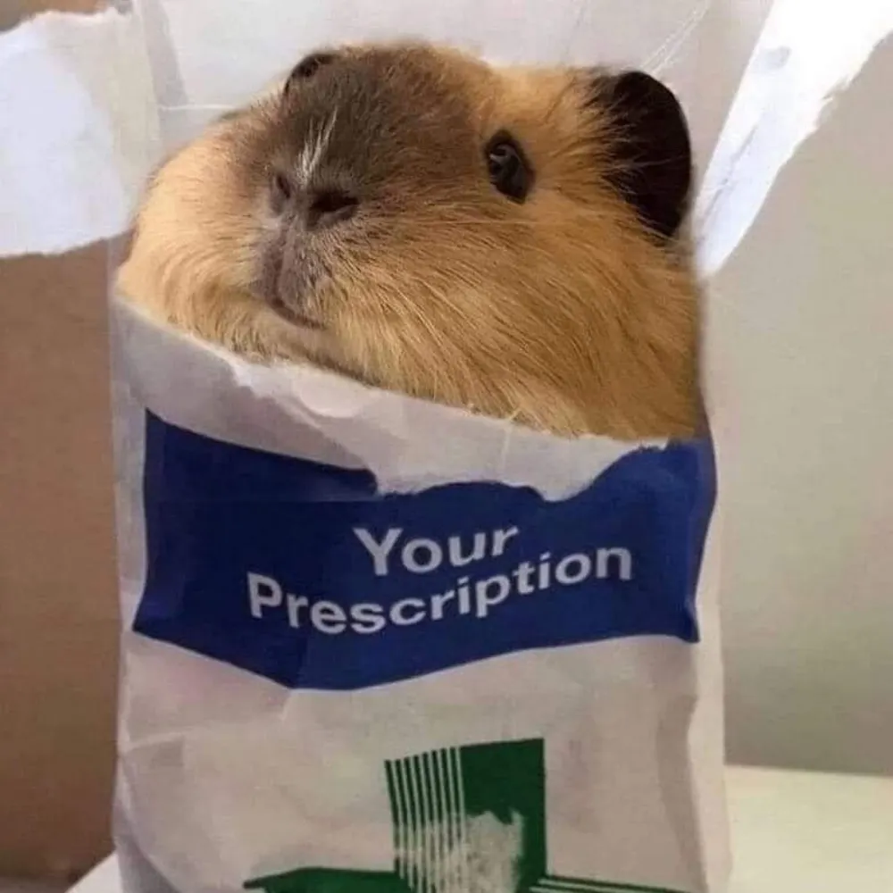 realchuckbass.bsky.social's profile picture