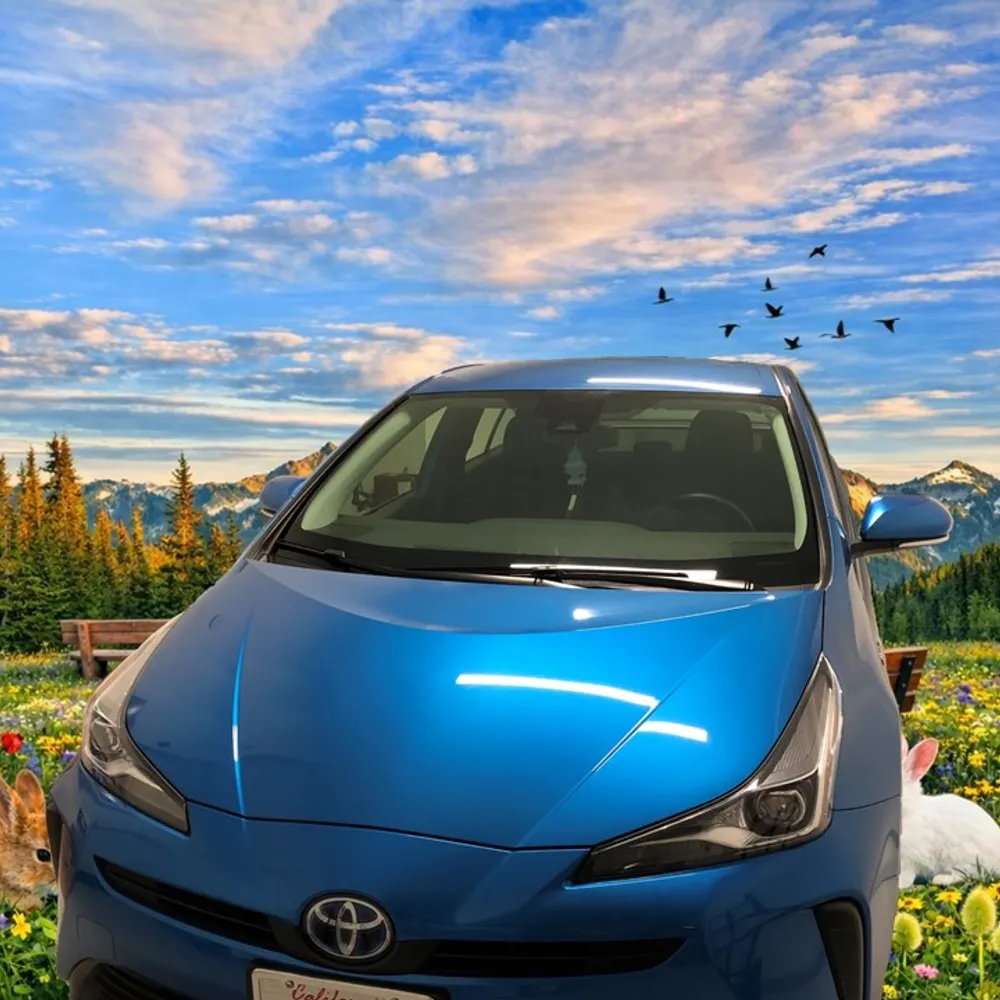 beautifulsongs.xyz's profile picture