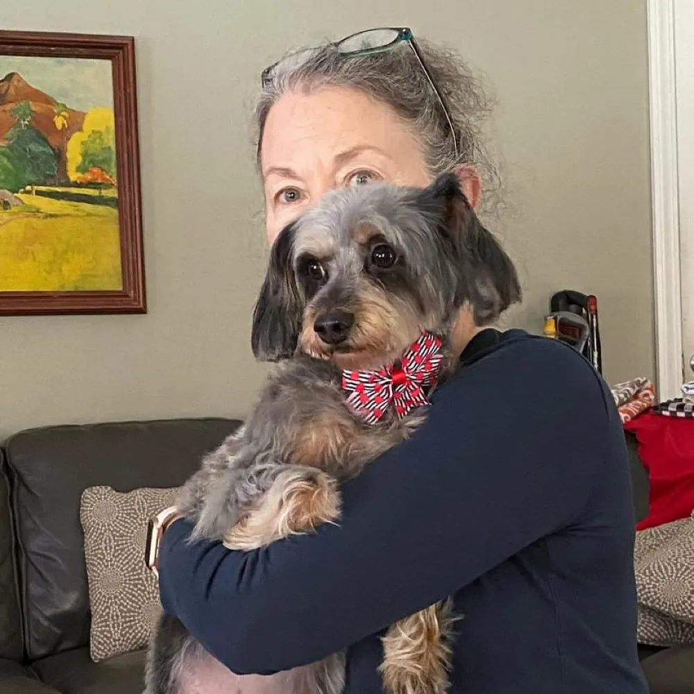 busrules.bsky.social's profile picture