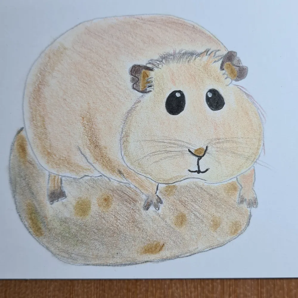 fellkartoffel.bsky.social's profile picture