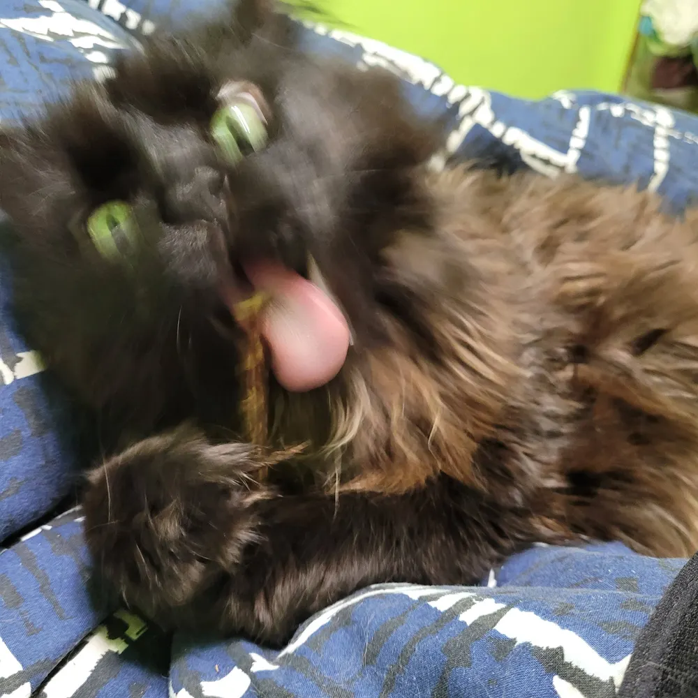 jenovanin.bsky.social's profile picture