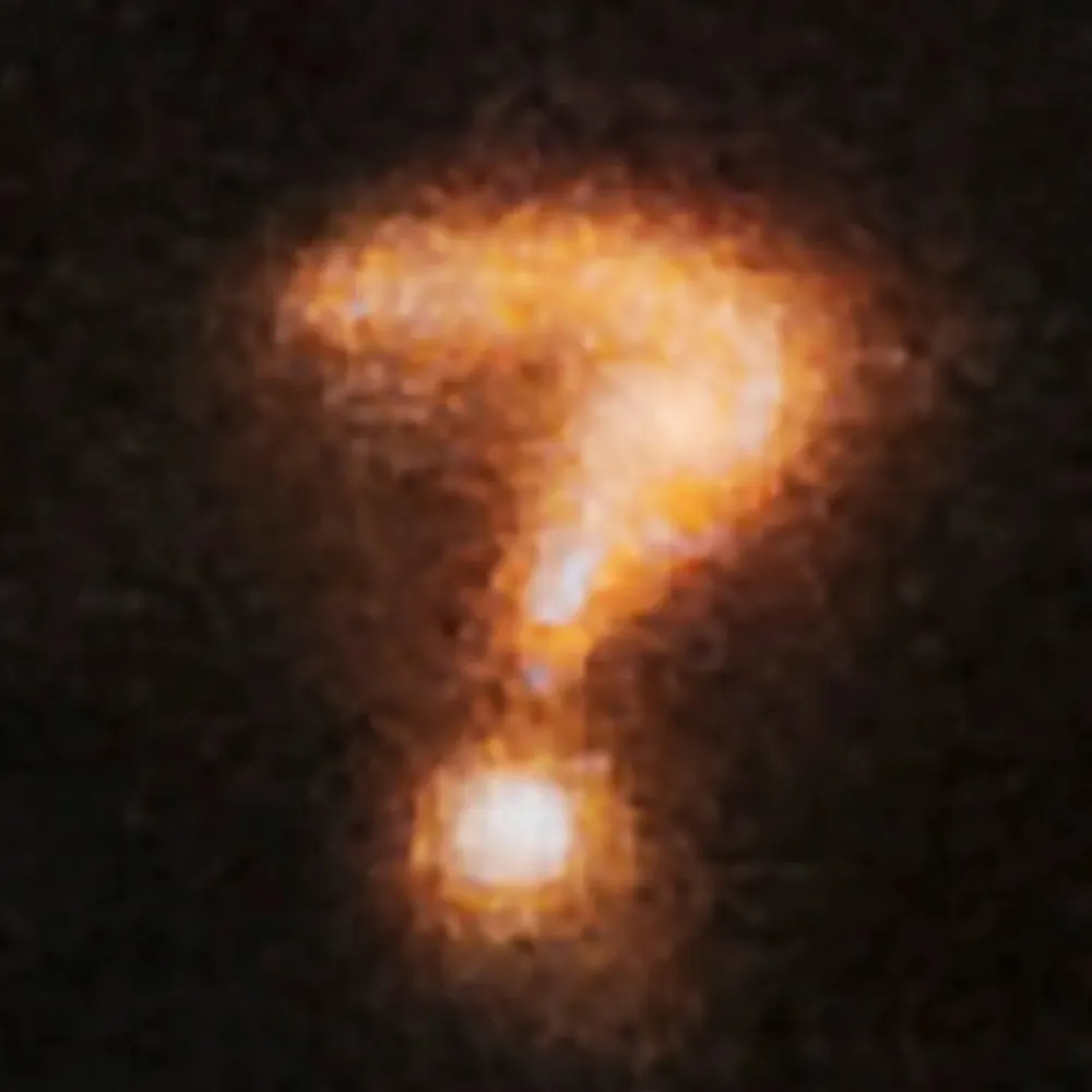 quizzicalotl.bsky.social's profile picture