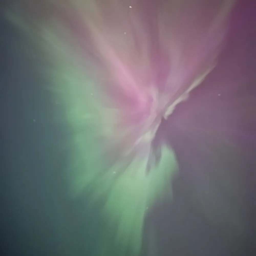 mossybadger.bsky.social's profile picture