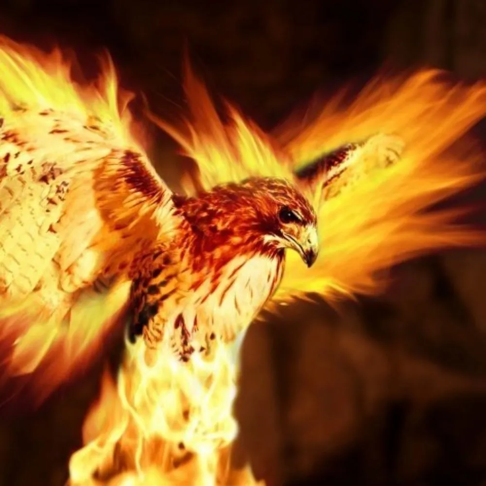 firehawkjw.bsky.social's profile picture