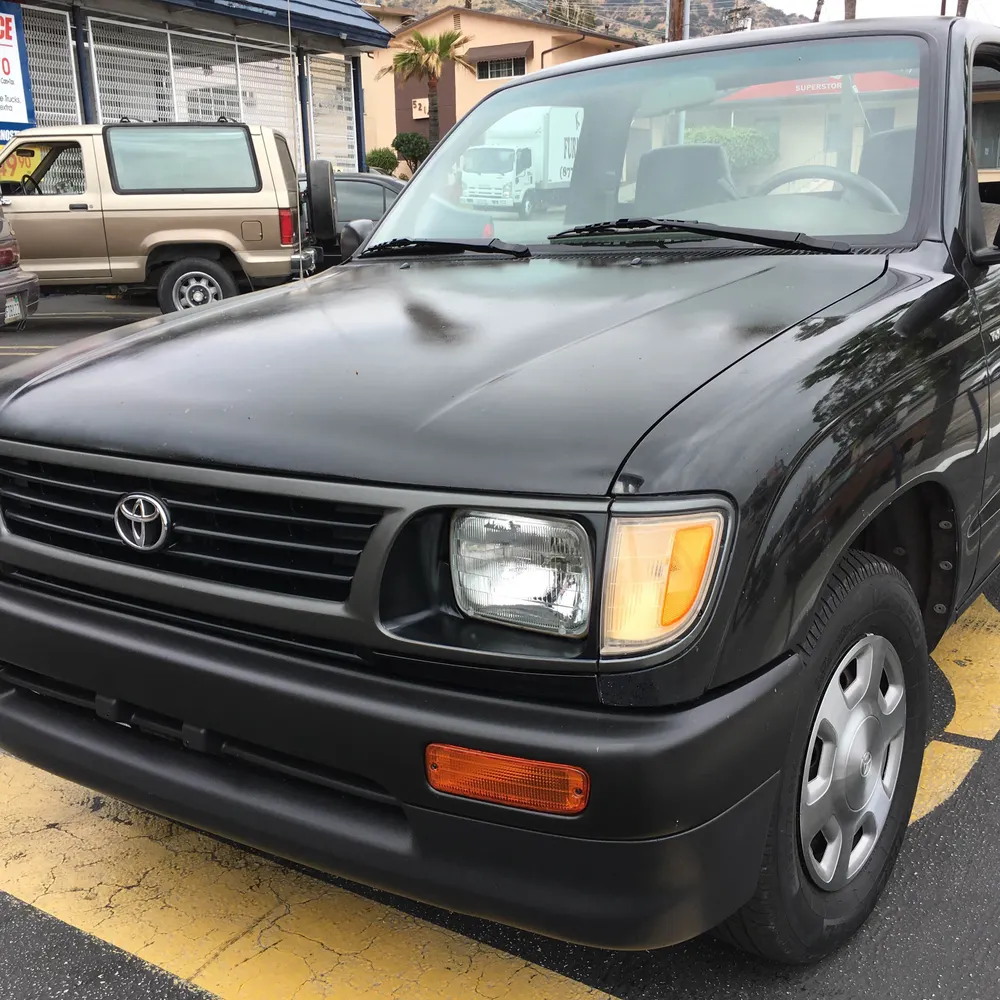 mfish.bsky.social's profile picture