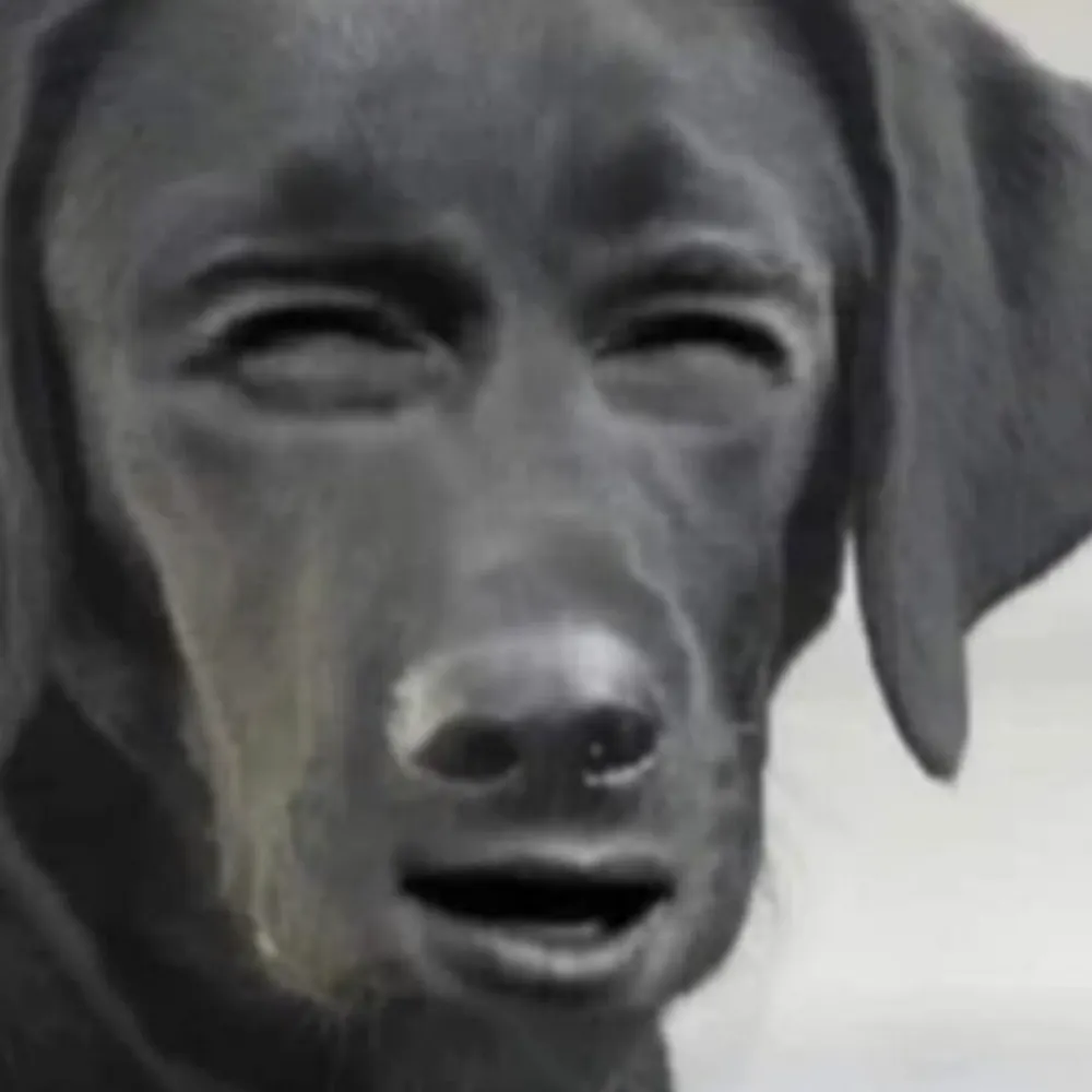 sigmundfried.bsky.social's profile picture