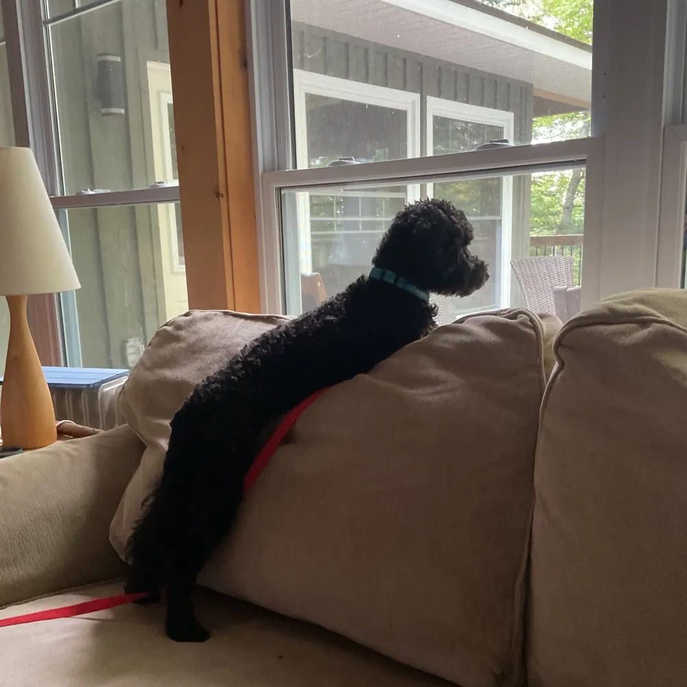 teebeed.bsky.social's profile picture