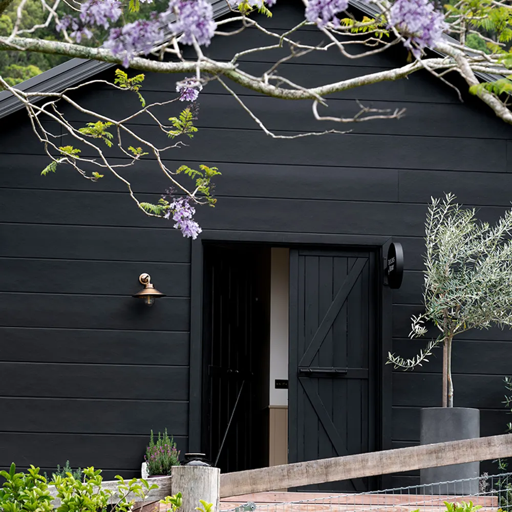 pardonall-joe24.bsky.social's profile picture