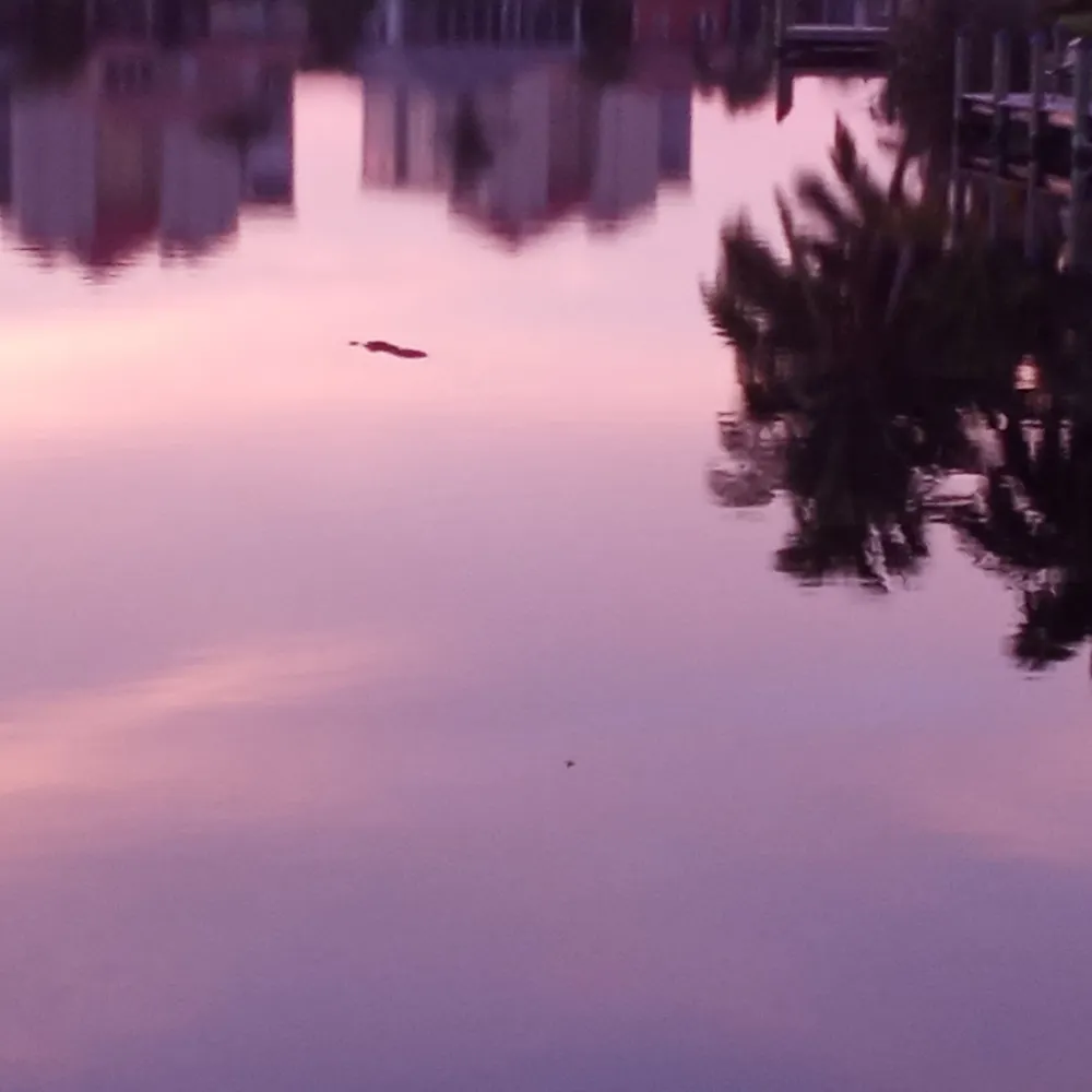 langwoodj.bsky.social's profile picture