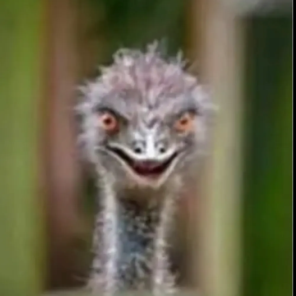 wormactual.bsky.social's profile picture