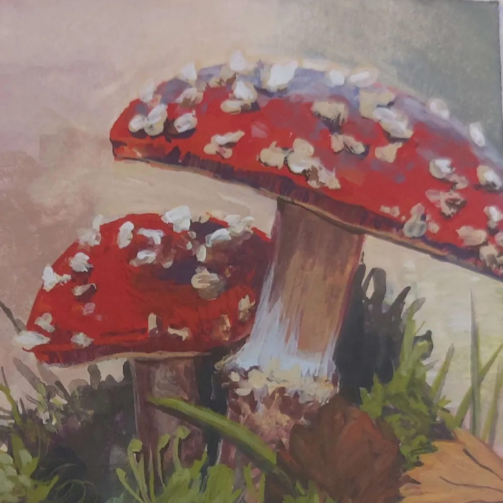 soupreme.bsky.social's profile picture