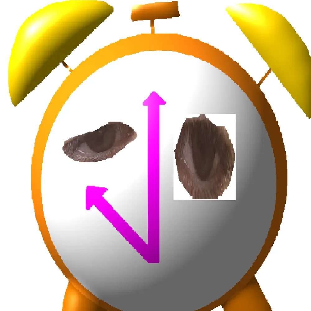 minitt.bsky.social's profile picture