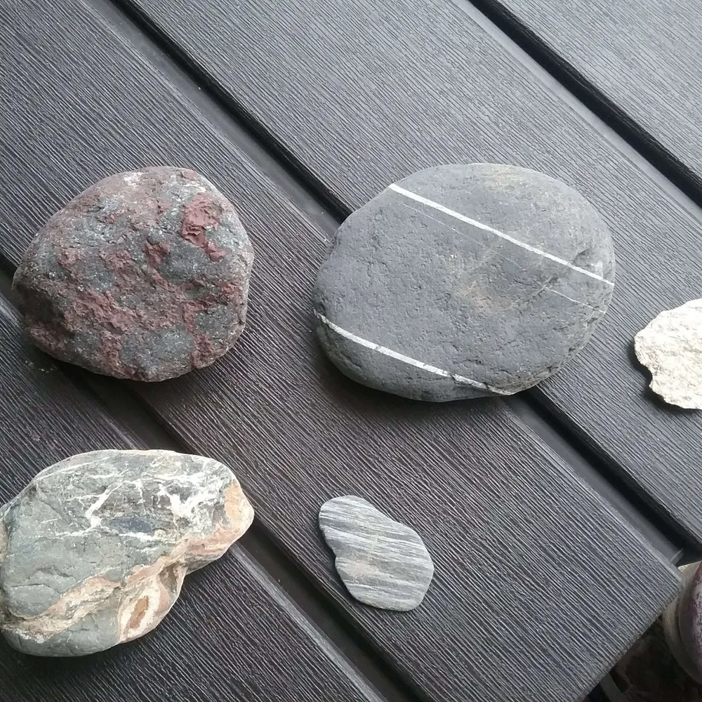 my2centsay.bsky.social's profile picture