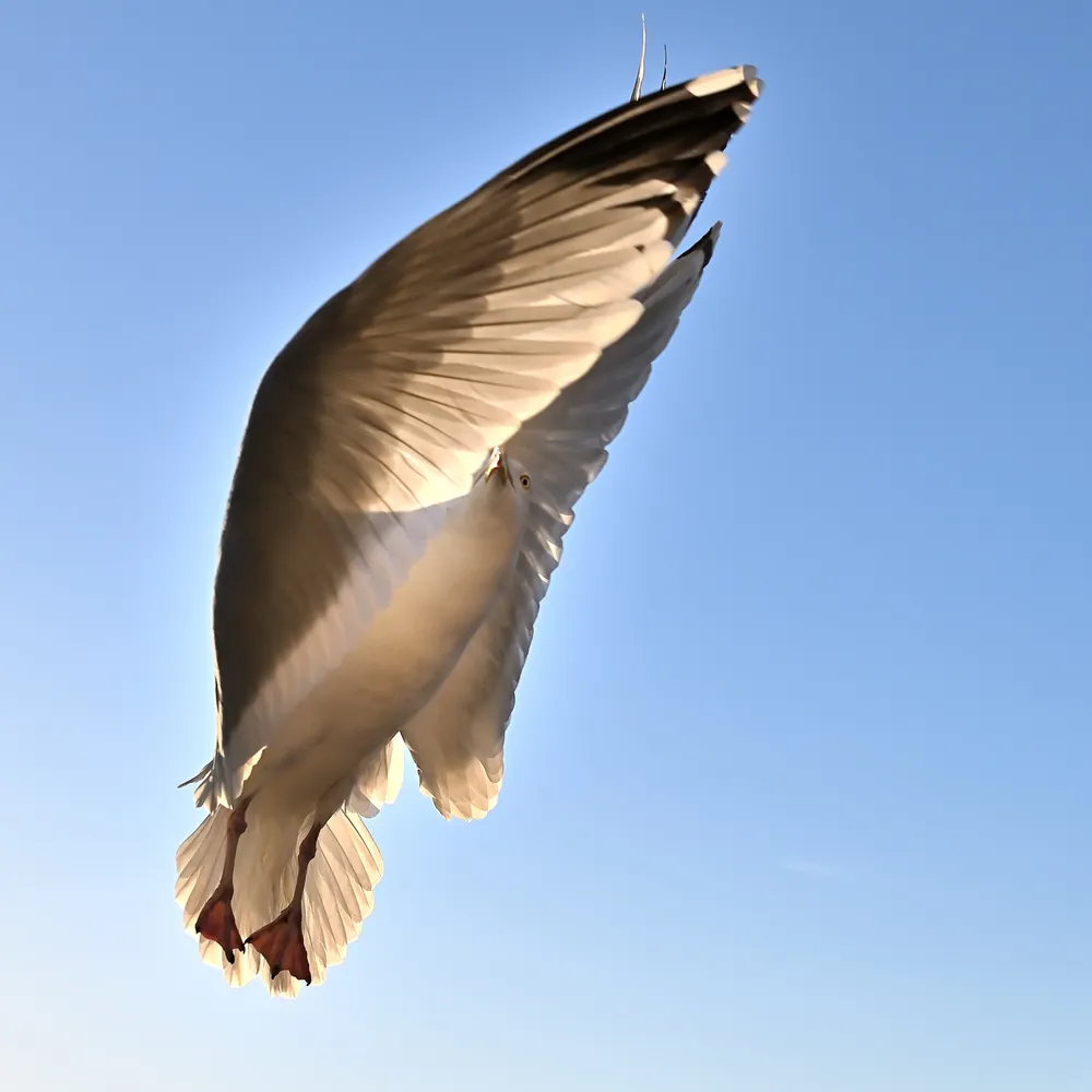 stonia2.bsky.social's profile picture