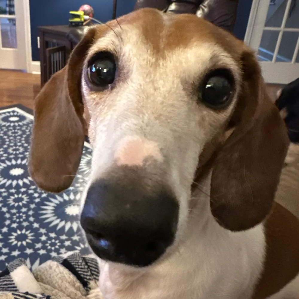 carolpercussion59.bsky.social's profile picture