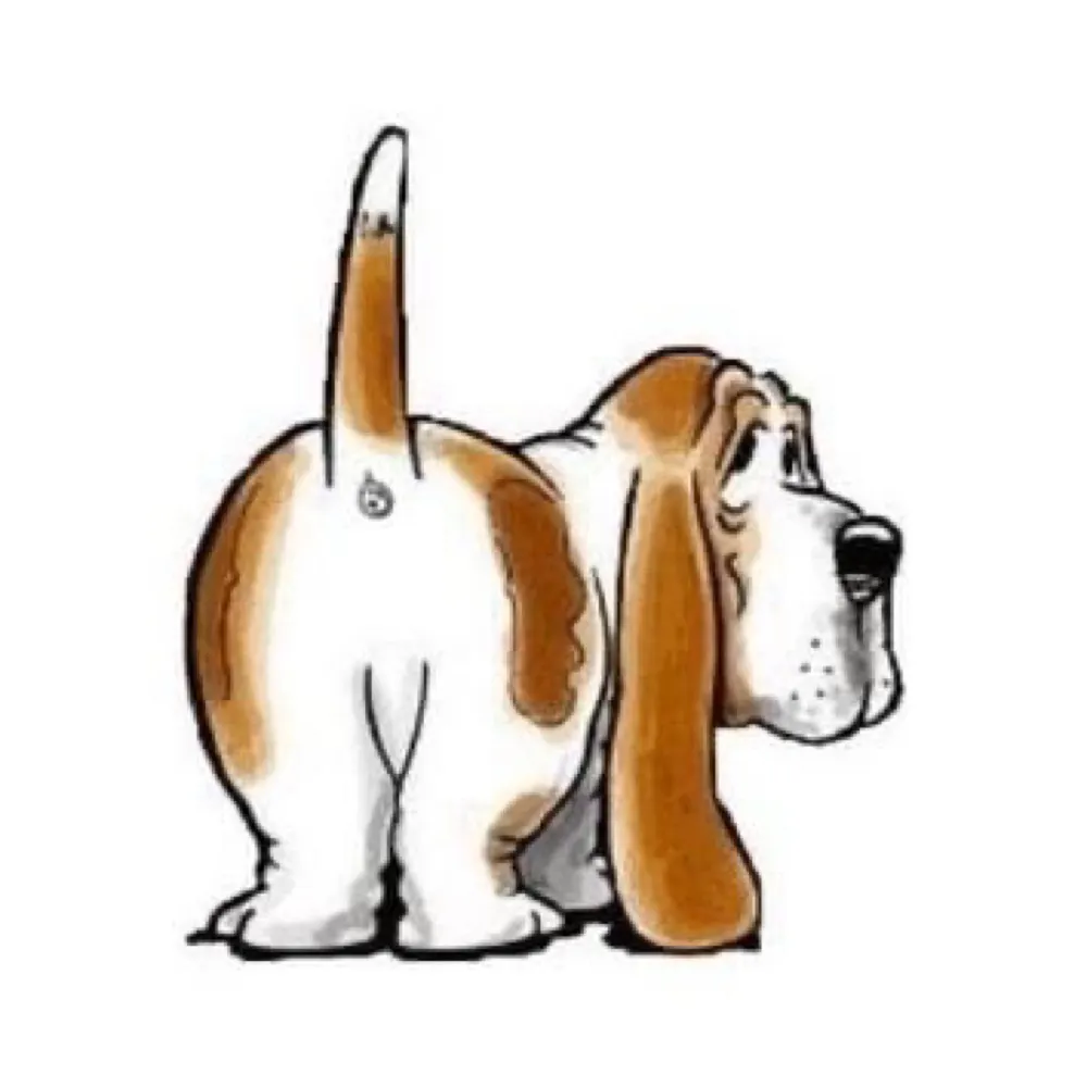 bassetdon.bsky.social's profile picture