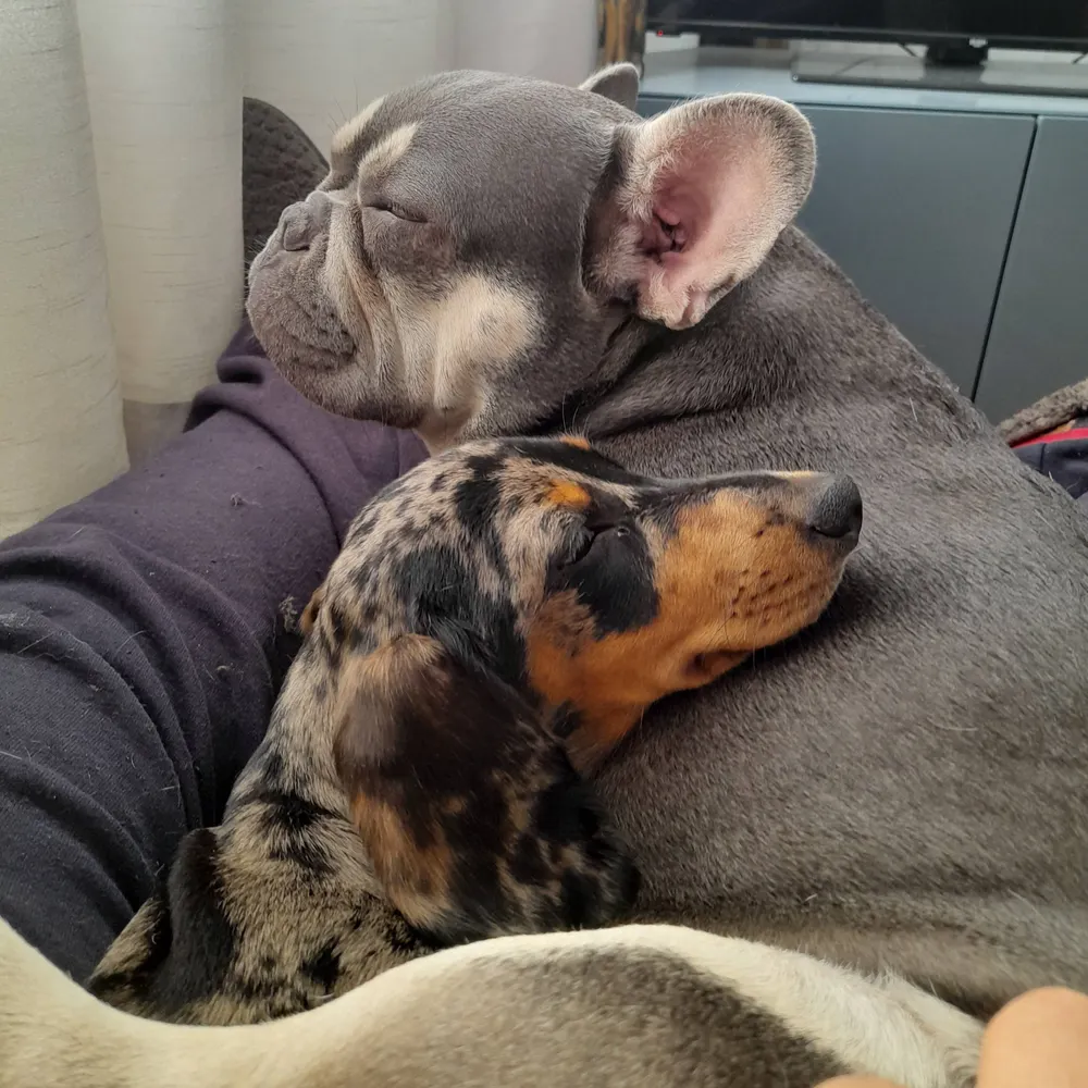 luckingfurker.bsky.social's profile picture