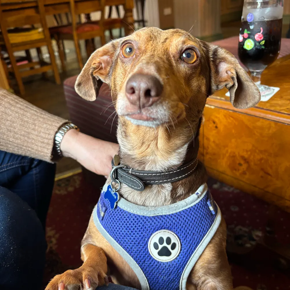 harrymcnally.bsky.social's profile picture